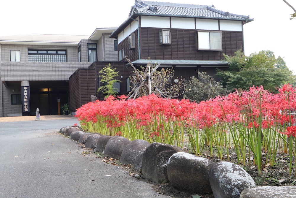 秋のお彼岸の頃には彼岸花が見頃を迎えます